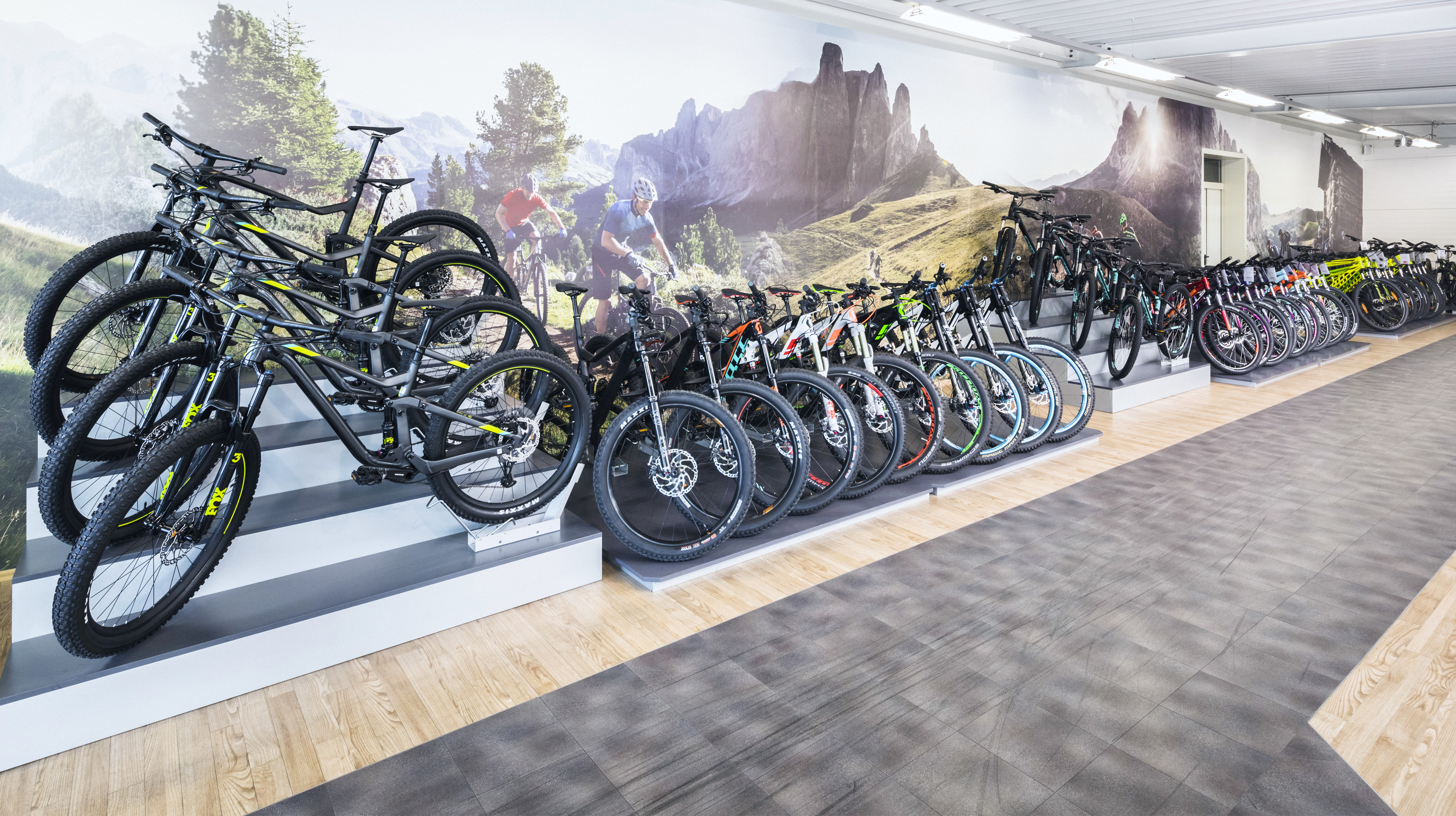 Mountain Bikes